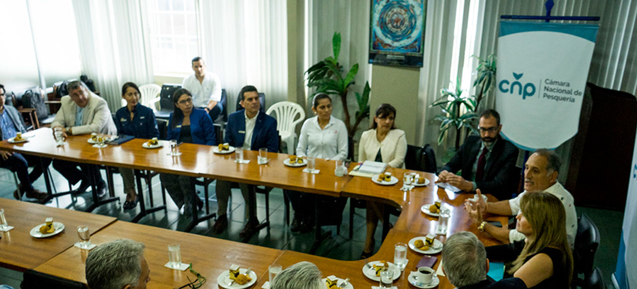 about-small-pelagics