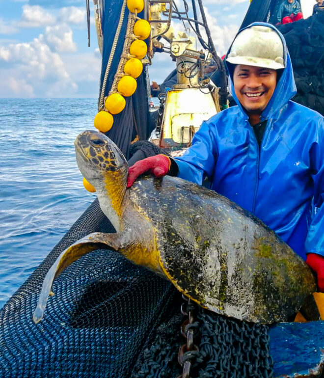 fishery-program-in-american-country-2024