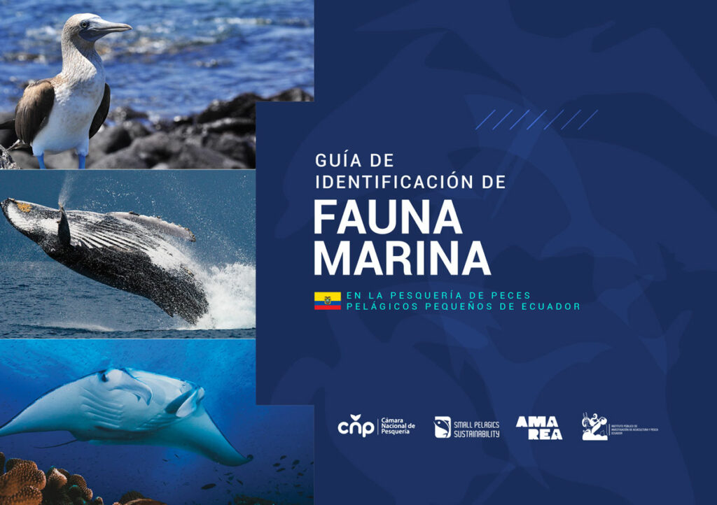Guía de Identificación de Fauna Marina