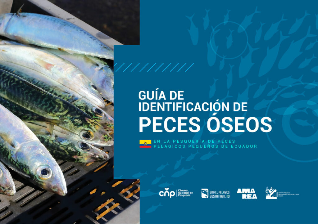 Guía de Identificación de Peces Óseos