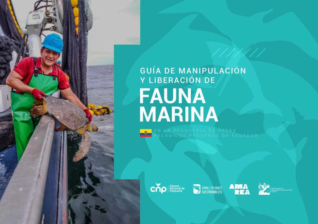 Guía de Manipulación y liberación de Fauna Marina