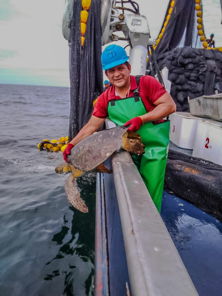 analisis-about-fishery-in-america-1