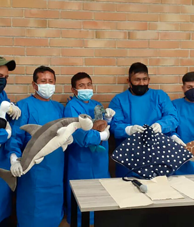 capacitacion-dimolfin