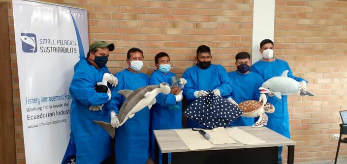 capacitacion-dimolfin