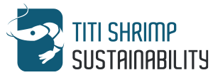logo-titi-shrimp-ecuador