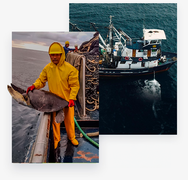 pesca-responsable-proyecto-de-mejora-pesquera-2025